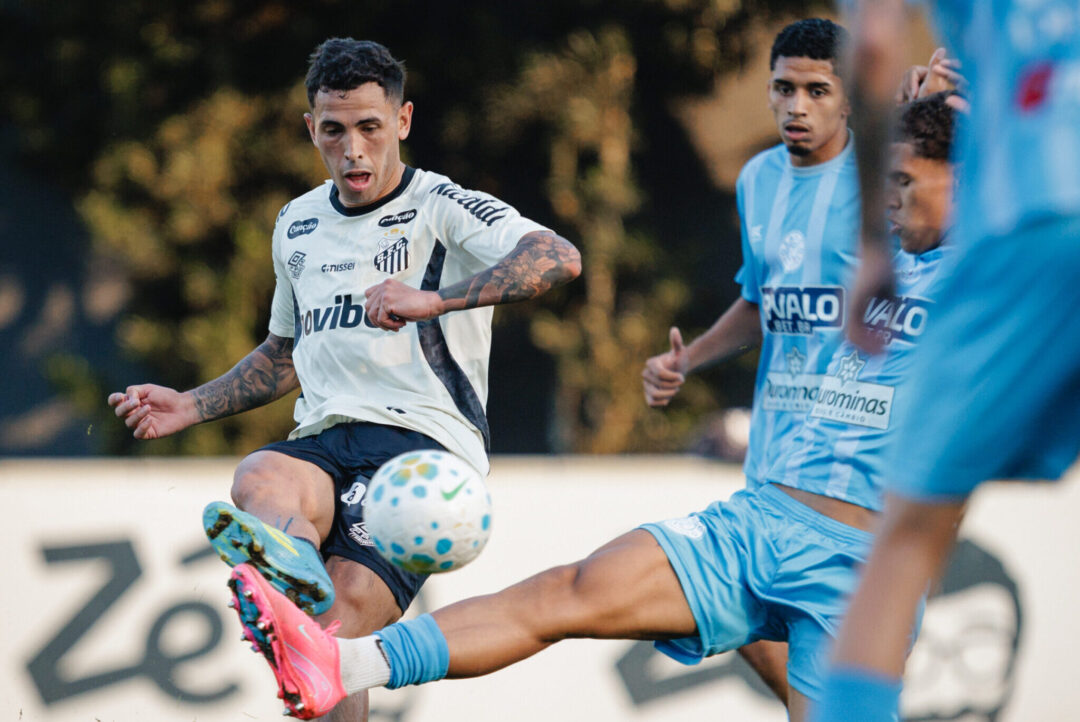 Raul Baretta/Santos FC