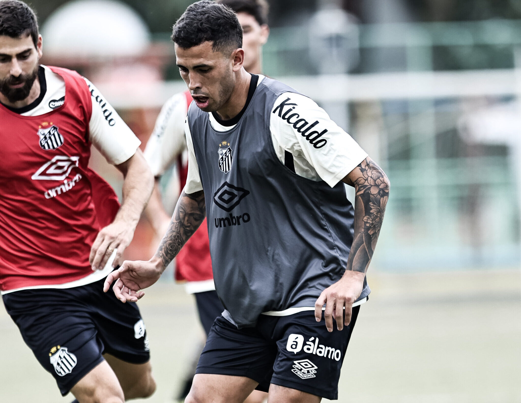 Santos busca quebrar jejum na Sul-americana contra a UCV