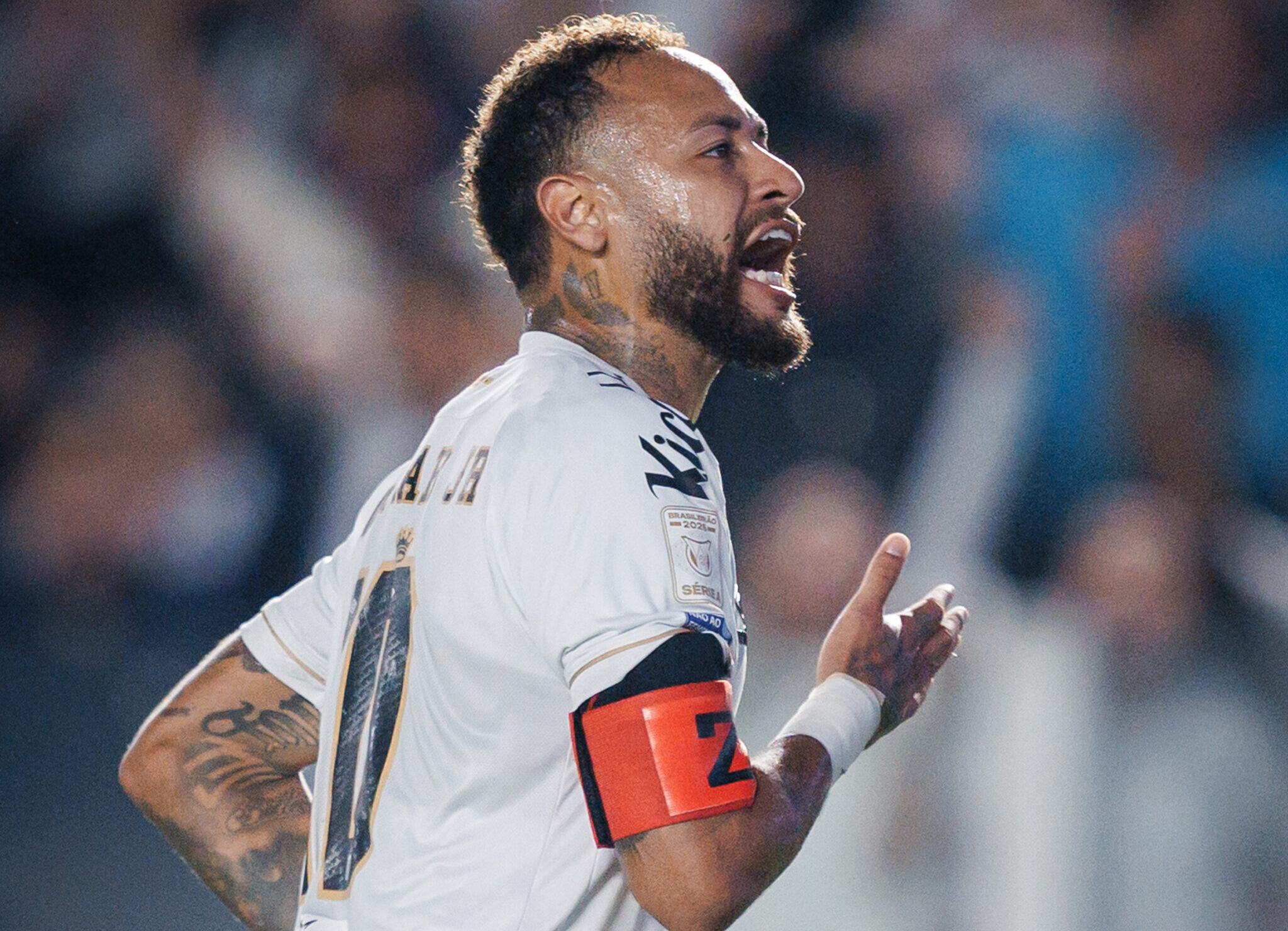Raul Baretta/Santos FC