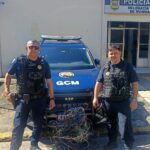 GCM de Mongaguá prende homem em flagrante por furto de fios e ameaça
