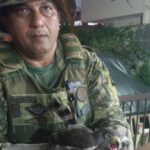 GCM Ambiental resgata gavião-carijó em São Vicente