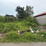 Mongaguá adota novas regras para limpeza de terrenos e calçadas