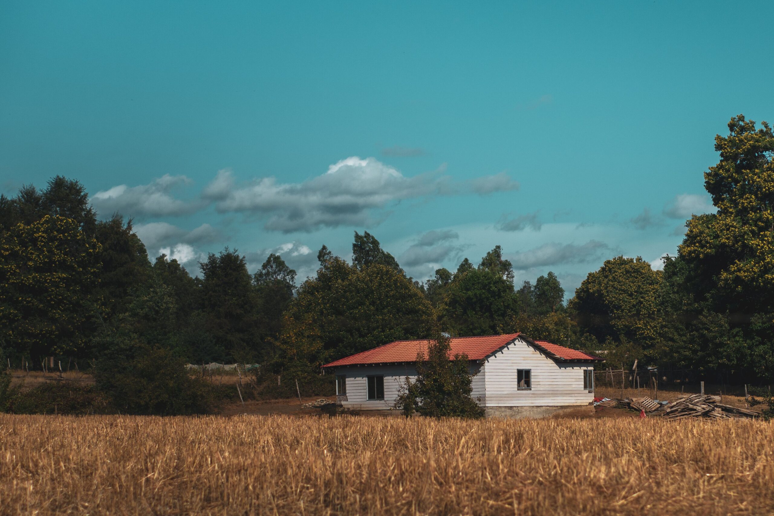 Reprodução Pexels Reprodução Pexels