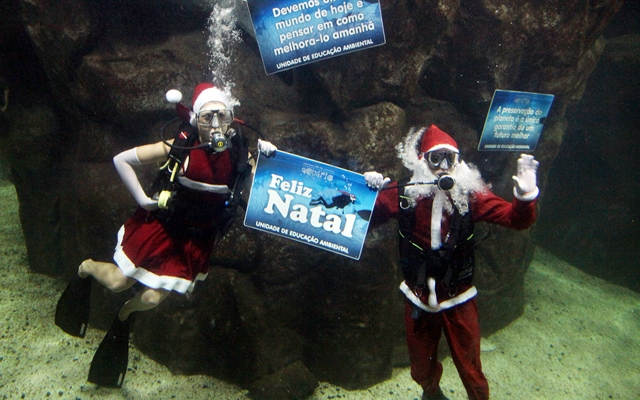 Papai e Mamãe Noel mergulham no tanque oceânico do Aquário | Jornal da Orla