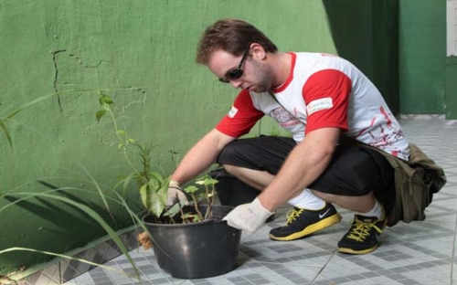 Cuidados redobrados com a dengue após as chuvas