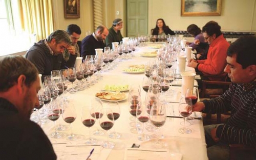Seminário irá escolher o embaixador do vinho chileno no Brasil | Jornal da Orla