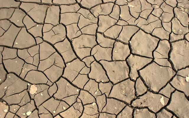 Falta de comida e água poderá causar guerra nos próximos anos, alerta presidente do Banco Mundial | Jornal da Orla