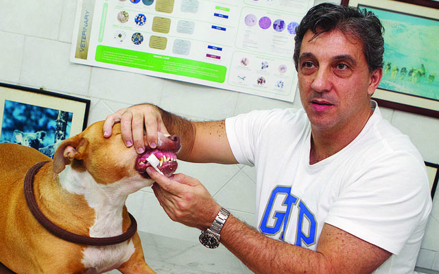 Campanha de Saúde Bucal de Pets | Jornal da Orla