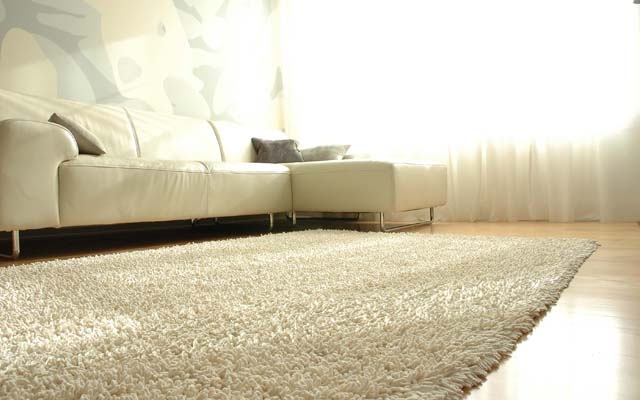 Como limpar o tapete em casa | Jornal da Orla