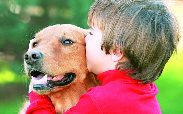Convívio com animais  beneficia crianças autistas | Jornal da Orla