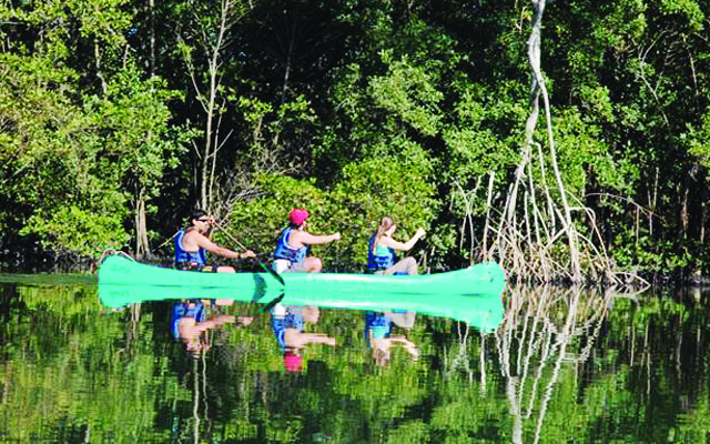 Canoagem no manguezal de São Vicente | Jornal da Orla