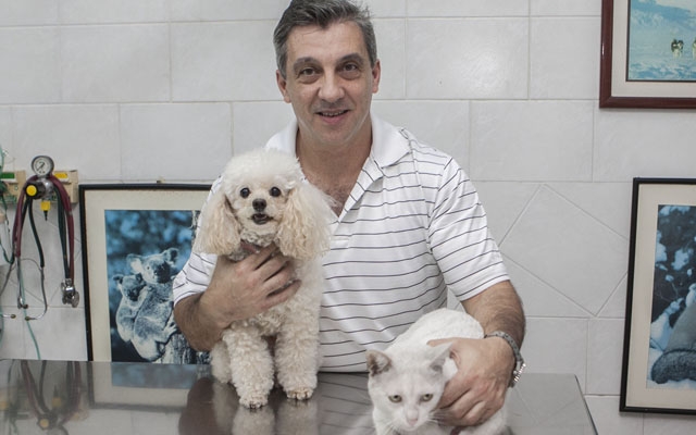 Como ter cão e gato na mesma casa? | Jornal da Orla