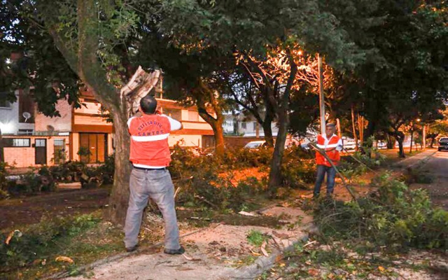 Ventania fere nove pessoas e deixa danos materiais em Santos | Jornal da Orla