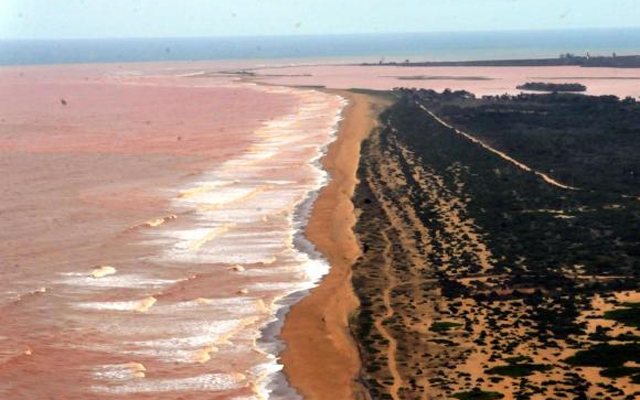 Lama de barragem chega ao mar no Espírito Santo e prefeitura interdita praias | Jornal da Orla