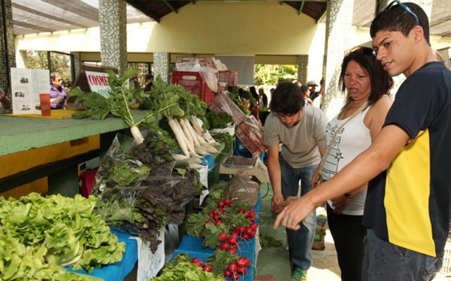Feira de produtos orgânicos no Orquidário