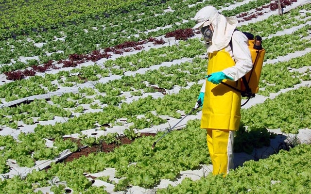 Instituto do Câncer alerta para uso de agrotóxicos