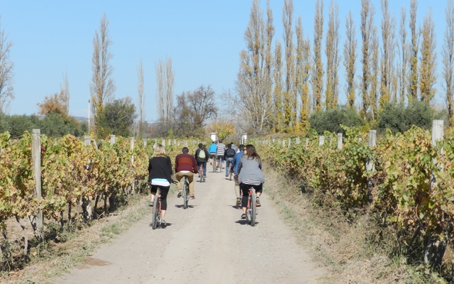 Passeios gastronômicos de bicicleta pela Itália
