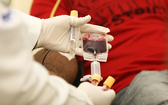 Recém-nascidas precisam de doação de sangue