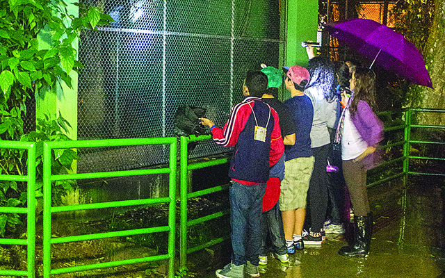 Orquidário realiza visita noturna