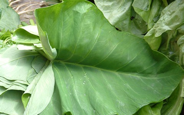 Consumimos apenas 0,06chr37 das plantas comestíveis no mundo