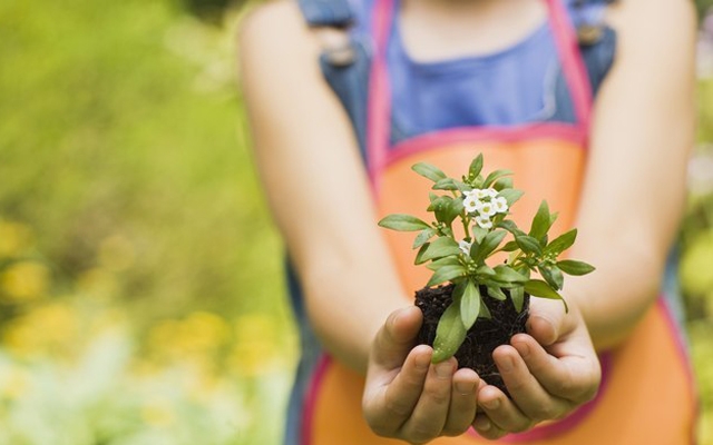 Campanha de conscientização ambiental envolve as crianças