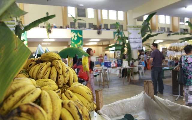 Festa da Banana recebe projetos musicais contemplados pelo Facult | Jornal da Orla