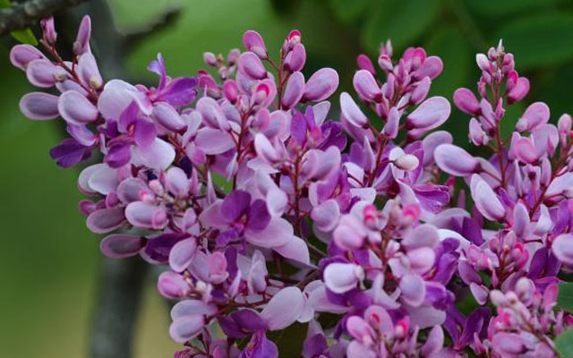 Primavera começa hoje e terá chuvas atípicas