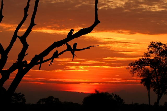 10 destinos para apreciar o pôr do sol | Jornal da Orla