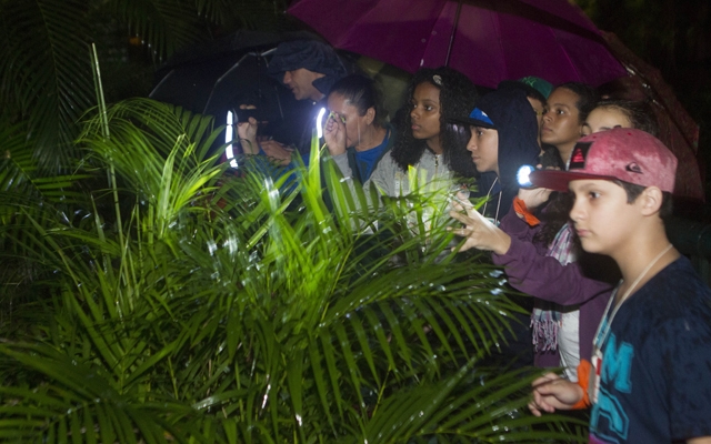 Orquidário abre inscrições para passeios