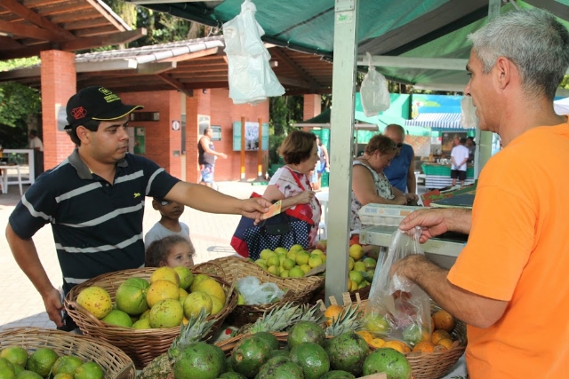 Ponta da Praia terá Feira de Orgânicos na terça-feira