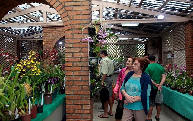 Exposição Nacional de Orquídeas atrai 1.500 visitantes ao Orquidário