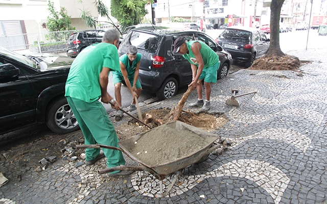 Calçadas danificadas por raízes de árvores passam por reparo