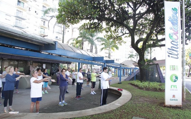 Aulas gratuitas de tai chi chuan atraem idosos na Ilha Criativa | Jornal da Orla