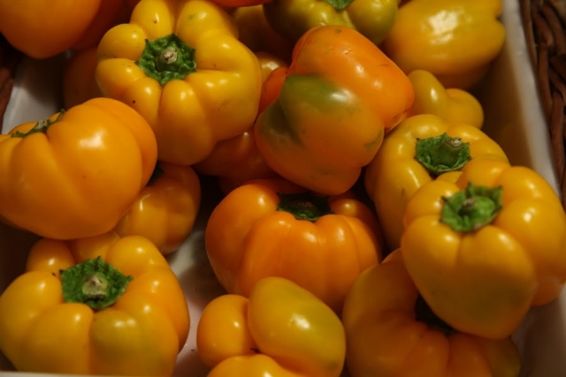 Ingredientes e produtores locais são destaque no Senac Santos