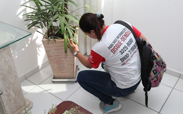 Vila Mathias terá mutirão contra o Aedes aegypti neste sábado