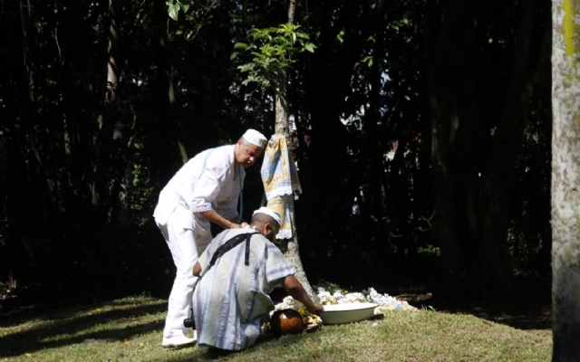Cerimônia do Baobá homenageia Dia Nacional da Umbanda e da Consciência Negra