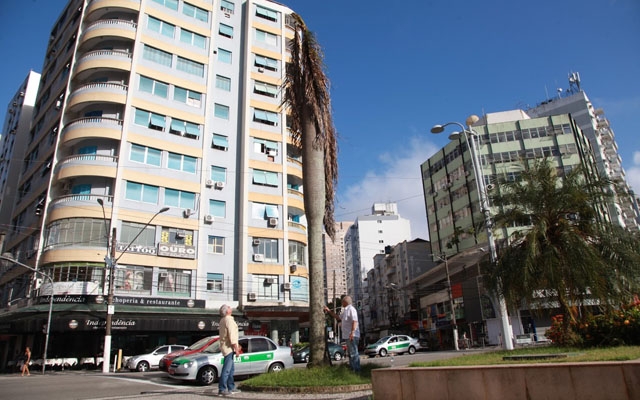 Praça da Independência terá novas palmeiras