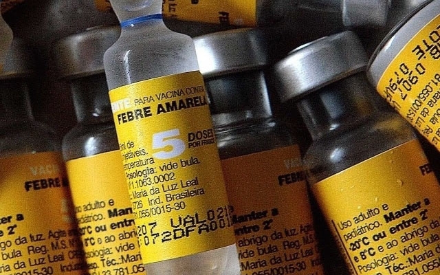 Febre amarela: conheça os sintomas e saiba quando tomar a vacina