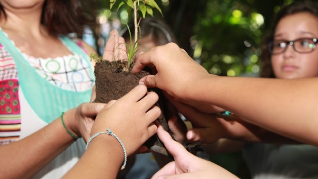 Crianças plantam 40 mudas no Jardim Botânico de Santos