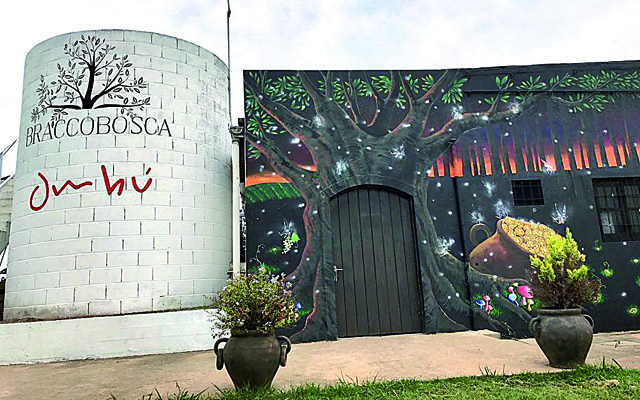 Uma vinícola uruguaia que investe em vinhos de qualidade | Jornal da Orla