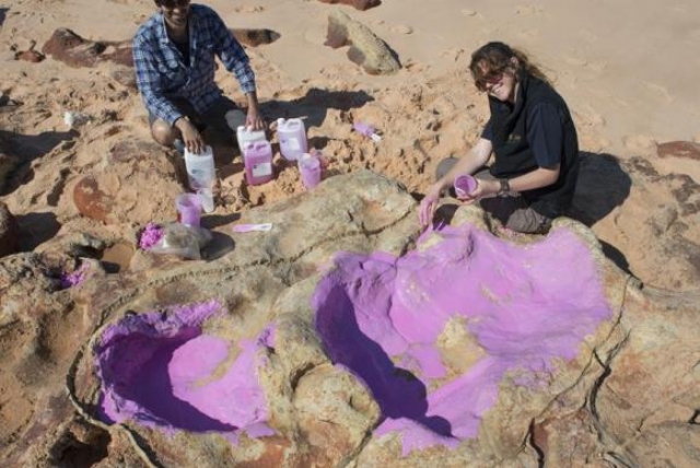 Cientistas identificam 150 pegadas de 21 espécies de dinossauros na Austrália | Jornal da Orla