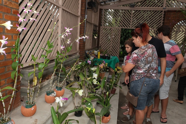 Orquidário tem atrações no feriado de Páscoa