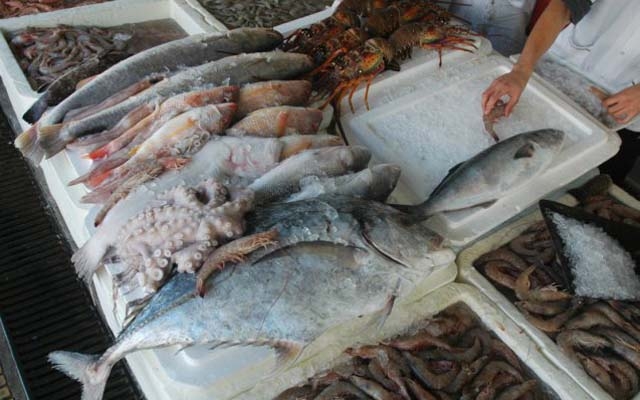 Venda de pescados ocorrerá em 13 pontos de Santos na Sexta-feira Santa