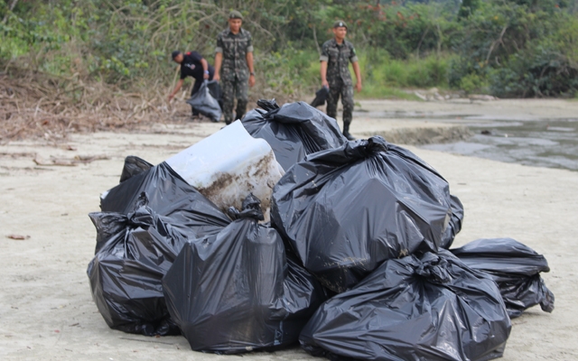 Ação no Parque Estadual Xixová-Japuí retira 1,5 tonelada de lixo | Jornal da Orla