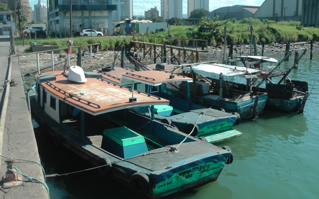 Campanha quer recuperar o Terminal Pesqueiro de Santos | Jornal da Orla