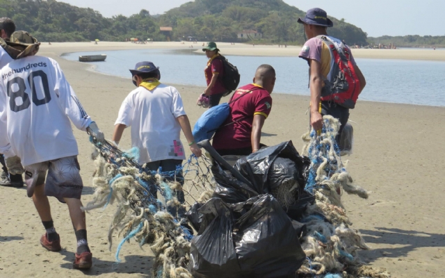 Greenpeace fará limpeza de praia em Bertioga neste domingo | Jornal da Orla