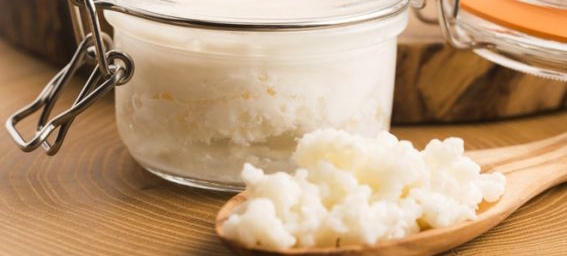 Saiba quais são os benefícios do Kefir para a saúde