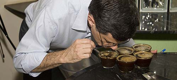 Curso de Classificação e Degustação de Café abre inscrições | Jornal da Orla