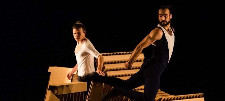 Santos Dance Festival traz mais de mil bailarinos à cidade | Jornal da Orla