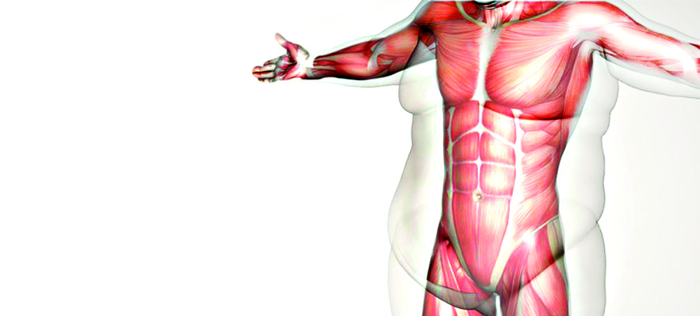 O que é importante saber sobre a cirurgia bariátrica